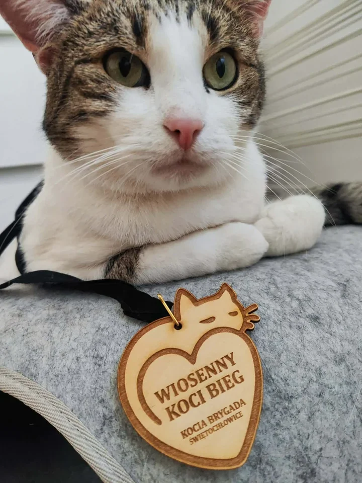 Nad Kaliną pobiegli dla kotów, a finał przyniósł konkretne wsparcie