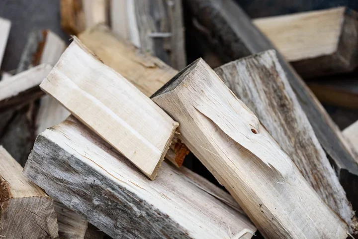 Nielegalne wycinki drzew - wzmożone przypadki na terenach zielonych miasta