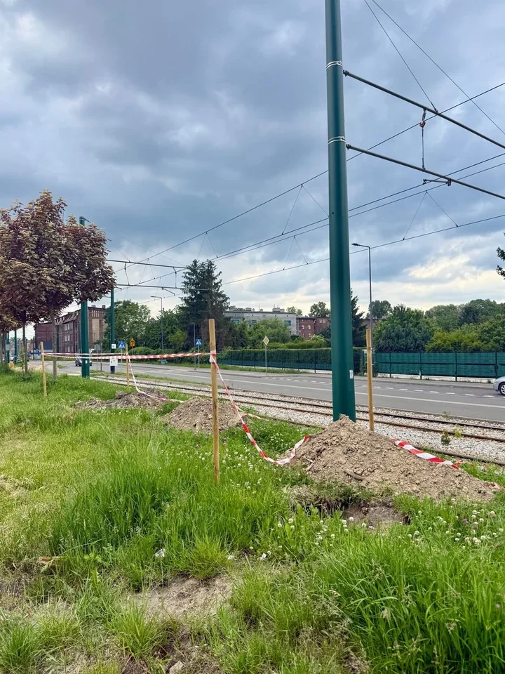 Nowe drzewa i jaśniejsze przejścia zmieniają Świętochłowice