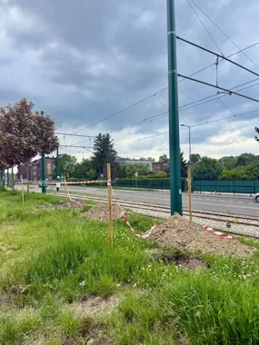 Nowe drzewa i jaśniejsze przejścia zmieniają Świętochłowice